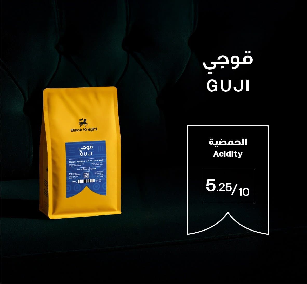 Black Knight Guji – Ethiopia | 250g