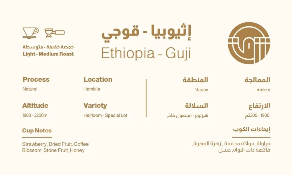 SHRQ Roastery — Guji | 🇪🇹 Ethiopia | Natural Process | 250g